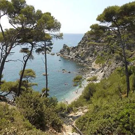 Apartment Beautiful With Sea View Six-Fours-les-Plages